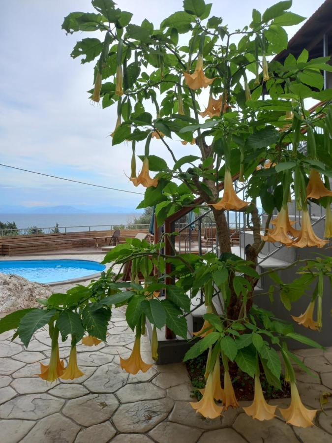 Seven Keys Luxury Suites Achílleion Eksteriør billede